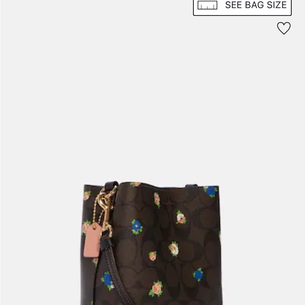 Coach crossbody handbag
